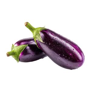 Glossy purple eggplants pair