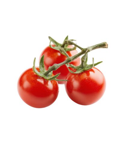 Vine ripened red tomatoes