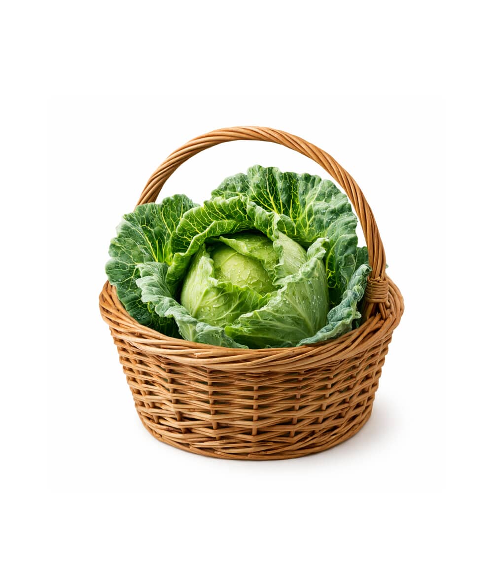 Crisp green cabbage head - Image 2