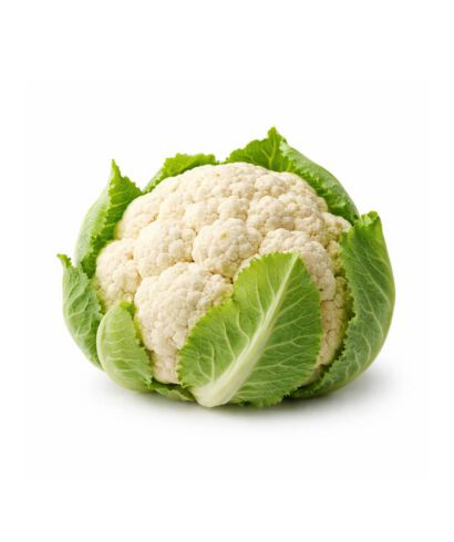 Fresh white cauliflower head